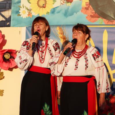 Vtv 12